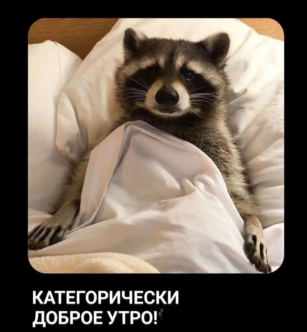 КАТЕГОРИЧЕСКИ дОБРОЕ УТРО