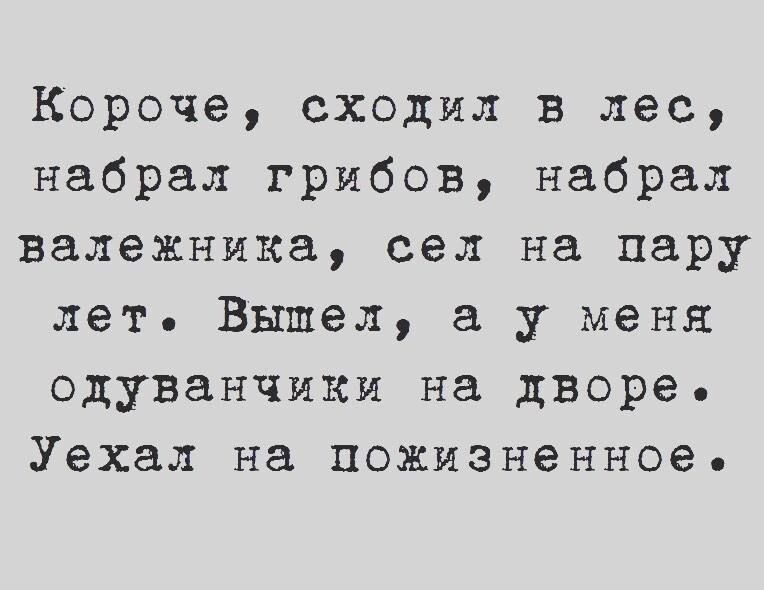 Короче сходил в лес набрал грибов набрал валежника сел на пару лет Вышел а у меня одуванчики на дворе Уехал на пожизненное