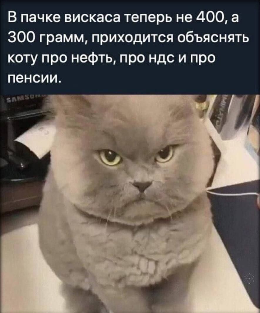 В пачке вискаса теперь не 400 а 300 грамм приходится объяснять коту про нефть про ндс и про пенсии