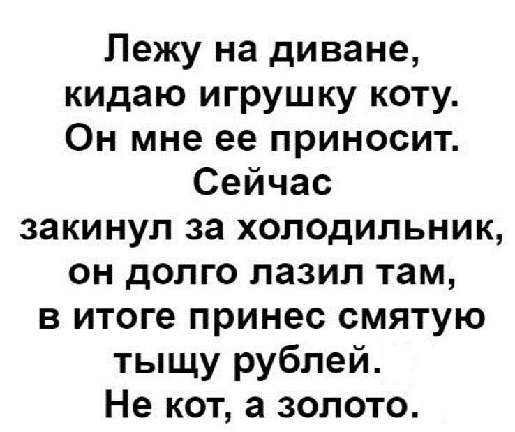 Лежу на диване кидаю игрушку коту Он мне ее приносит Сейчас закинул за холодильник он долго лазил там в итоге принес смятую тыщу рублей Не кот а золото