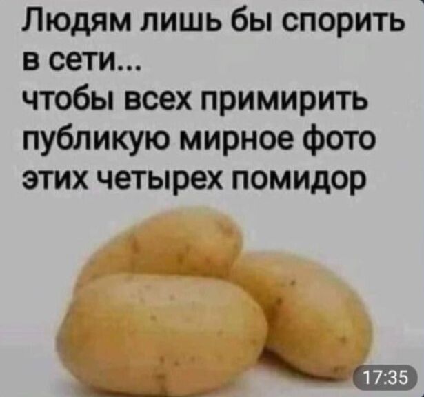 Людям лишь бы спорить в сети чтобы всех примирить публикую мирное Фото этих четырех помидор _