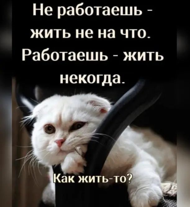 Не работаешь жить не на что Работаешь жить некогда ак ЖИТЬТО