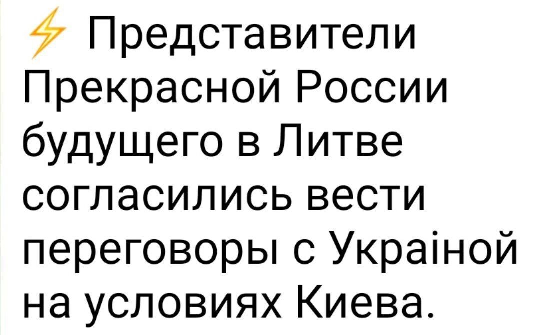 Представители Прекрасной России будущего в Литве согласились вести переговоры с Украіной на условиях Киева