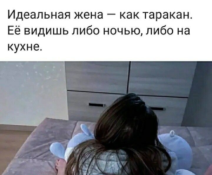 Идеальная жена как таракан Её видишь пибо ночью либо на кухне