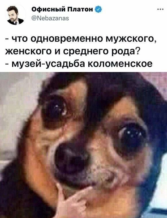 2 офиси и Платон что одновременно мужского женского и среднего рода музейусадьба коломенское 4