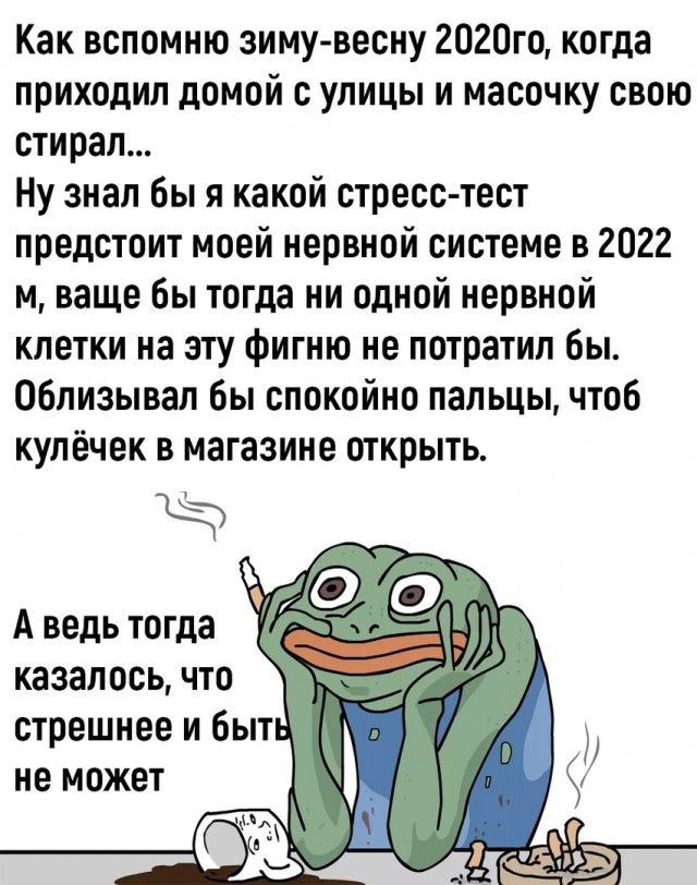 Как вспомню зимувесну 2020го когда приходил домой с улицы и масочку свою стирал Ну знал Бы я какой стресстест предстоит моей нервной системе в 2022 и ваще бы тогда ни одной нервной клетки на эту фигню не потратил бы облизывал Бы спокойно пальцы чтоб кулёчек в магазине открыть тт А ведь тогда казалось что стрешнее и быт не может