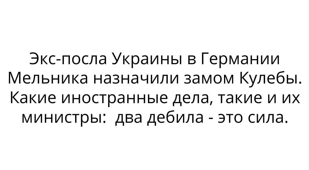 Экс посла Украины в Германии Мельника назначили замом Купебы Какие иностранные дела такие И ИХ мИНИСТрЫ двд дебила ЭТО сила