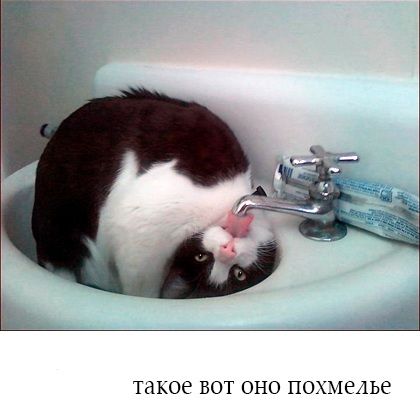 такое БОТ ОНО ПОХМРАЬЁ