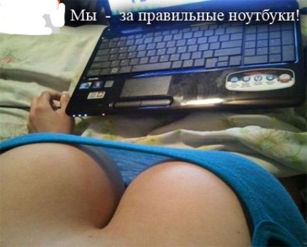 Мы Ч _прившхъные ноутбуки