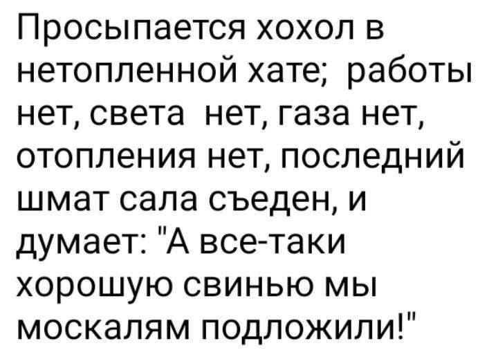 Просыпается хохол в нетопленной хате работы нет света нет газа нет отопления нет последний шмат сала съеден и думает А все таки хорошую свинью мы москалям подложили