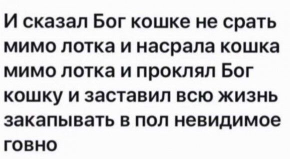 И сказал Бог кошке не срать мимо лотка и насрала кошка мимо лотка и проклял Бог кошку и заставил всю жизнь закапывать в пол невидимое говно