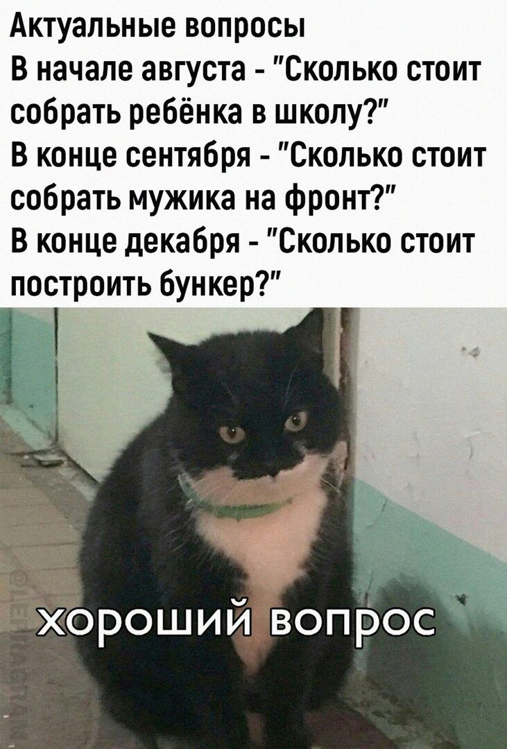 Актуальные вопросы В начале августа Сколько стоит собрать ребёнка в школу В конце сентября Сколько стоит собрать мужика на фронт В конце декабря Сколько стоит построить бункер хороший вопРос
