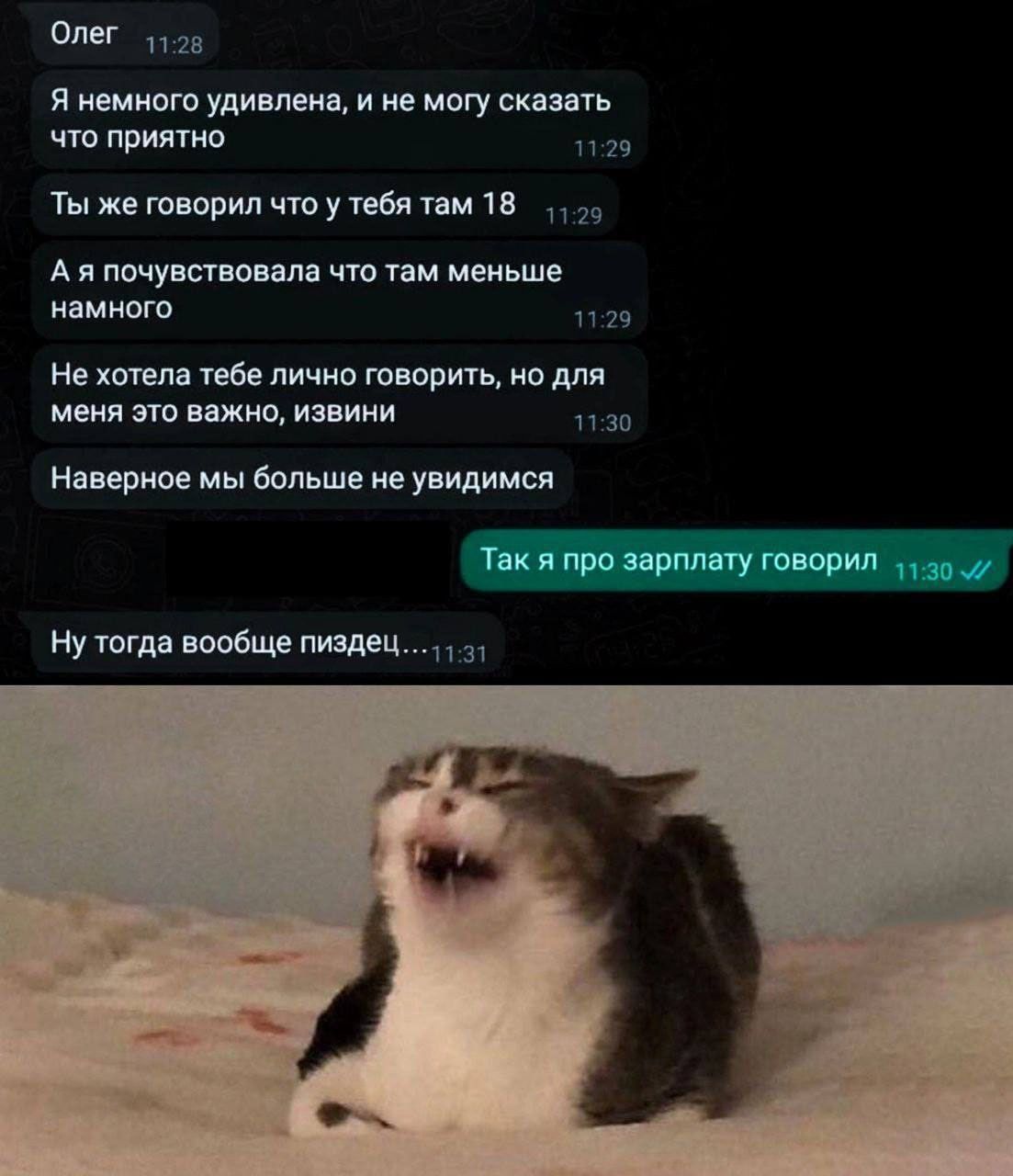 Олег д и иемиот удивлена не могу с что приятно Ты же га трип что у геБя мм на А я птунавппм что им меиьше намного ме хтел м пичио творить индия мемя ввжио извини Наириае мы Больше не увидимся Так и про здрппату тварин ну тгдп вообще пщец