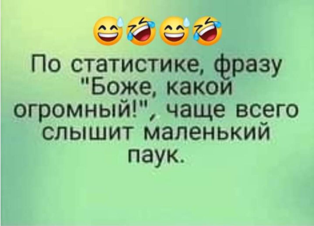 ёёёё По статистике фразу Боже какои огромный чаще всего слышит маленький паук