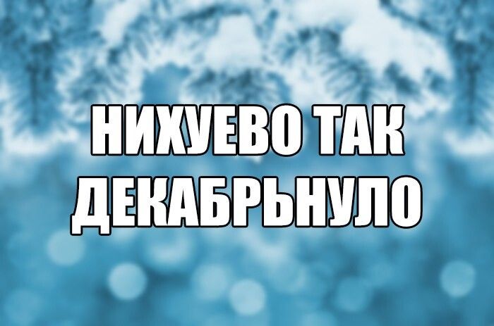 дендвгьнипо