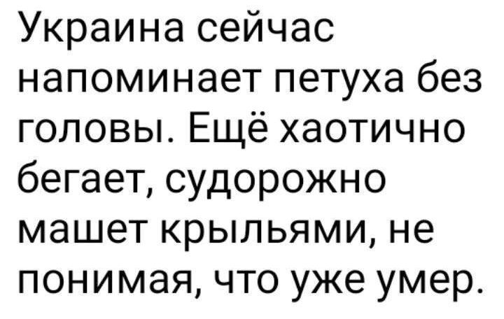 Украина сейчас напоминает петуха без головы Ещё хаотично бегает судорожно машет крыльями не понимая что уже умер