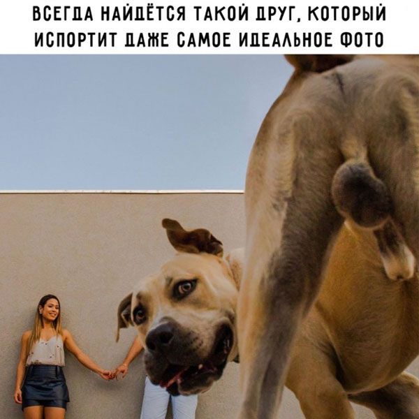 ВБЕГЦА НАЙЦЁТБЯ ТАКОЙ ДРУГ КОТОРЫЙ ИСППРТИТ НАШЕ БАМПЕ ИЦЕААЬНОЕ ФПП