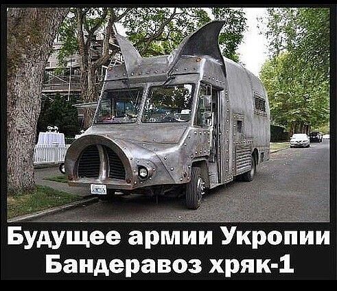 Щдщы Будущее армии Укропии Бандеравоз хрип 1