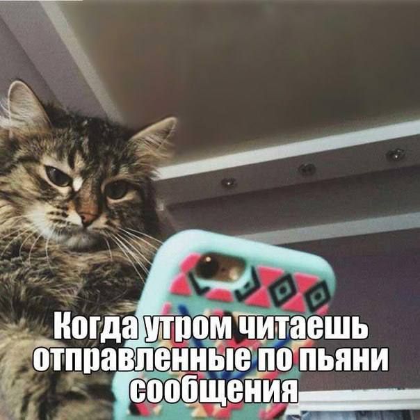 т ноша ппом читаёшь отппавпеиниыежпътьнии _ вообщеиия