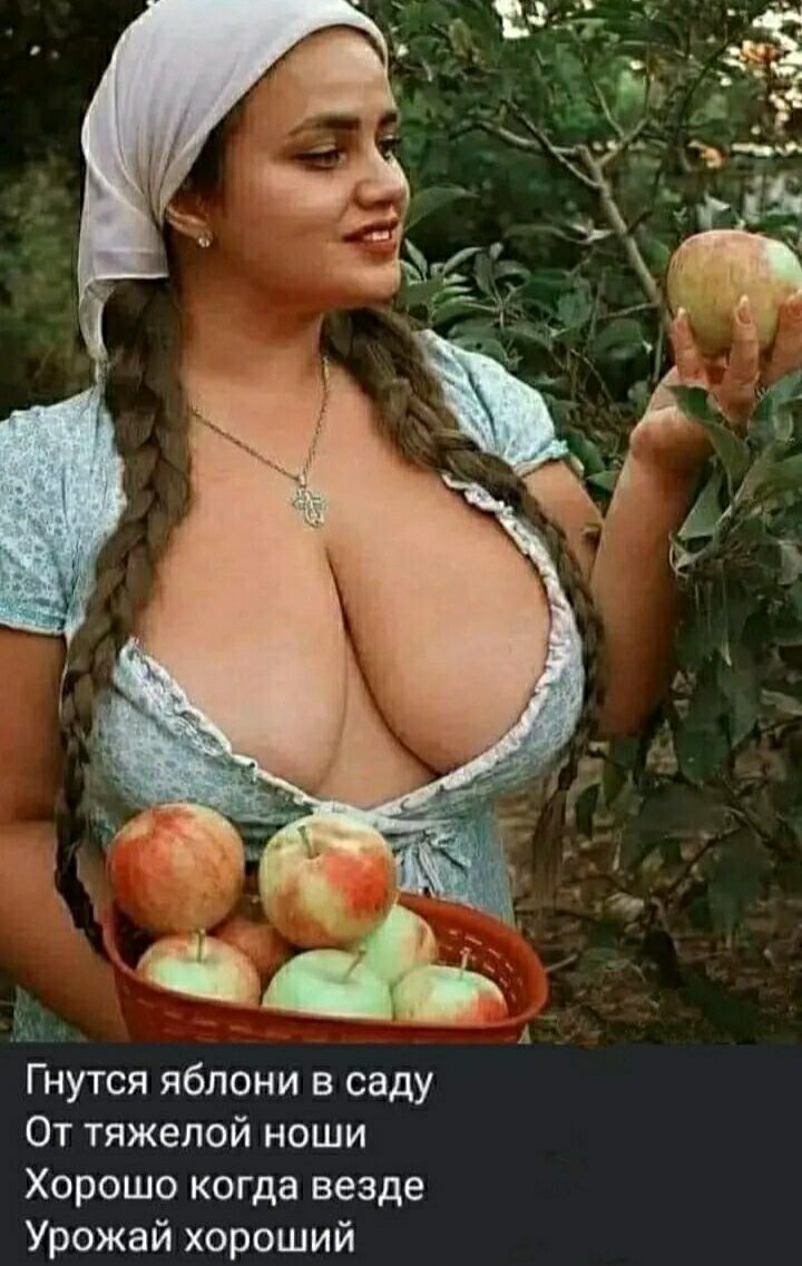 Гнутся яблони в саду От тяжелой ноши Хорошо когда везде Урожай хороший
