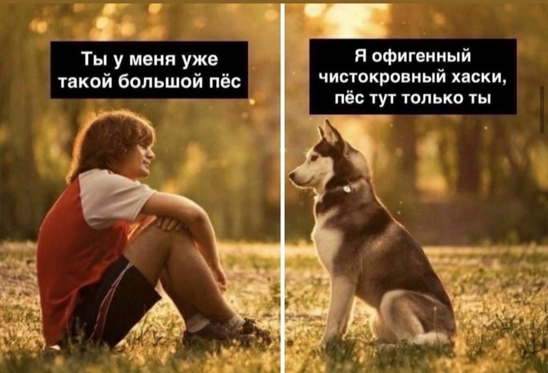 и офиг ииый чистокрмиый иски м тут топ ко ты Ты у мени уже шой большой