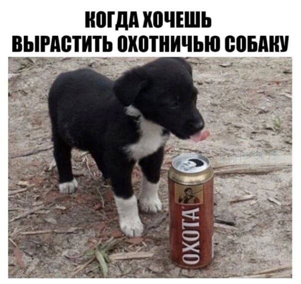 КШМ ХВЧЕШЬ ВЫРАЕТИТР охотничью БОБМШ