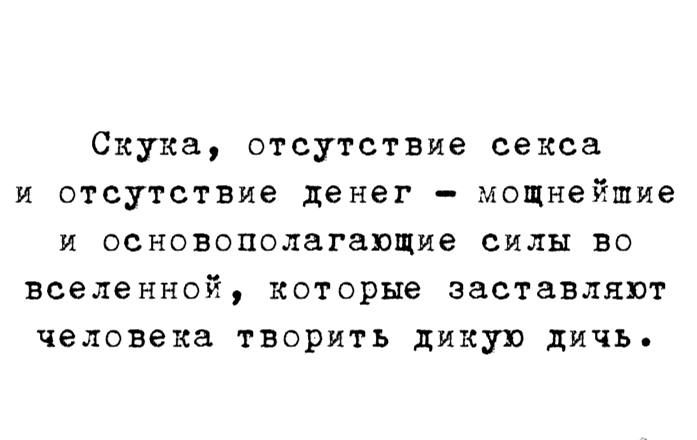 Скука отсутствие секса и отсутствие денег мощнейшие и основополагающие силы во вселенной которые заетавлпвт человека творить дикую дичь
