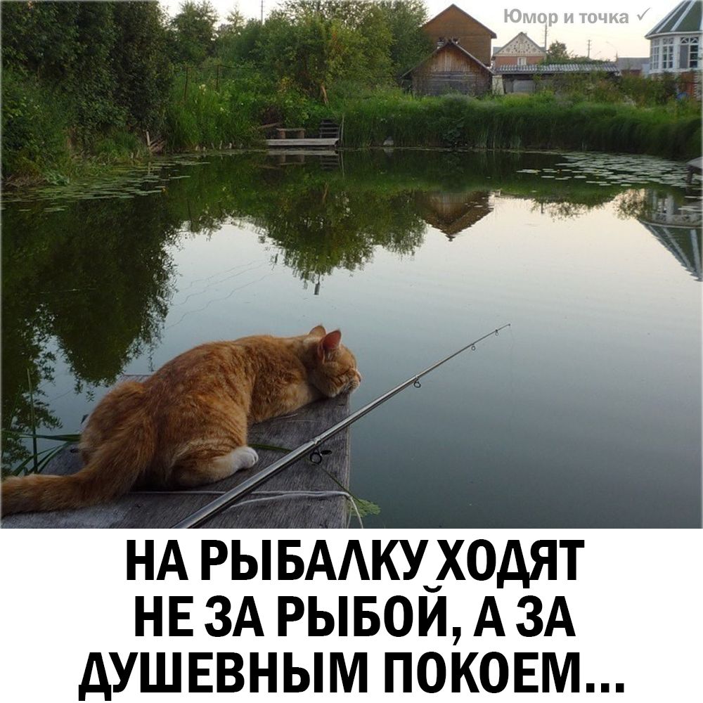 НА ывААку_ходят НЕ ЗА рывои А ЗА душевным покоем