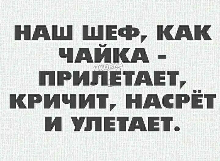 ндш ш_аф кдк чдикд припвтдвъ кричит иАсРЁт и упндн