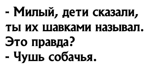 Милый дети сказали ты их шавками называл Это правда Чушь собачья