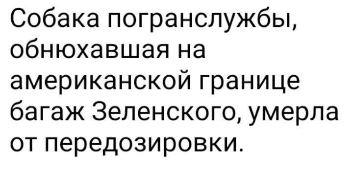 Собака погранслужбы обнюхавшая на американской границе багаж Зеленского умерла от передозировки