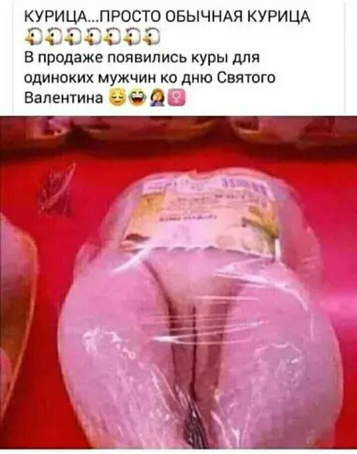 КУРИі ПРОСТО ОБЫЧНАЯ КУРИЦА ппрфдт 444111 в продаже появились куры для ОДИИОКИХ МУЖЧИК КО дню СВЯТОЙ Валентина _ 9 О _