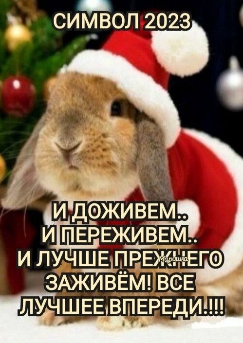 СИЁВОЛ 202З и д_ ема и пЁРЕживЕм и лучщЁдПРеищего ЗАЖИВЕМ все ЛУЧШЕЕ ВПЕРЕДЙ