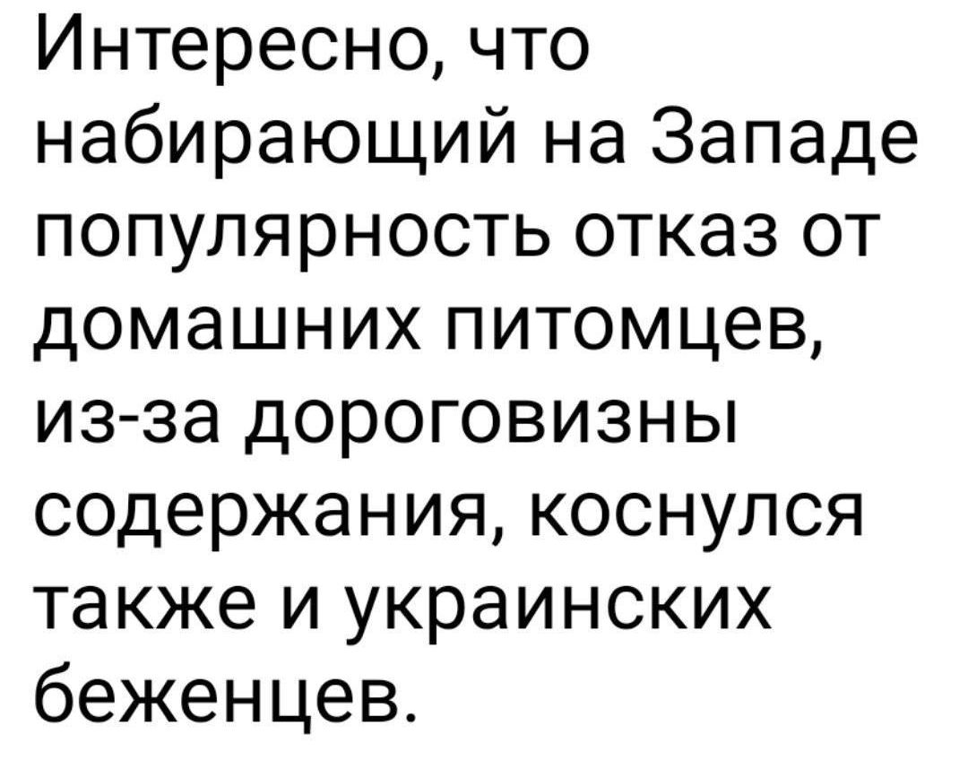 Интересно что набирающий на Западе популярность отказ от домашних питомцев из за дороговизны содержания коснулся также и украинских беженцев