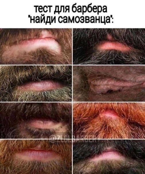 тест для барбера найди самозванца мы