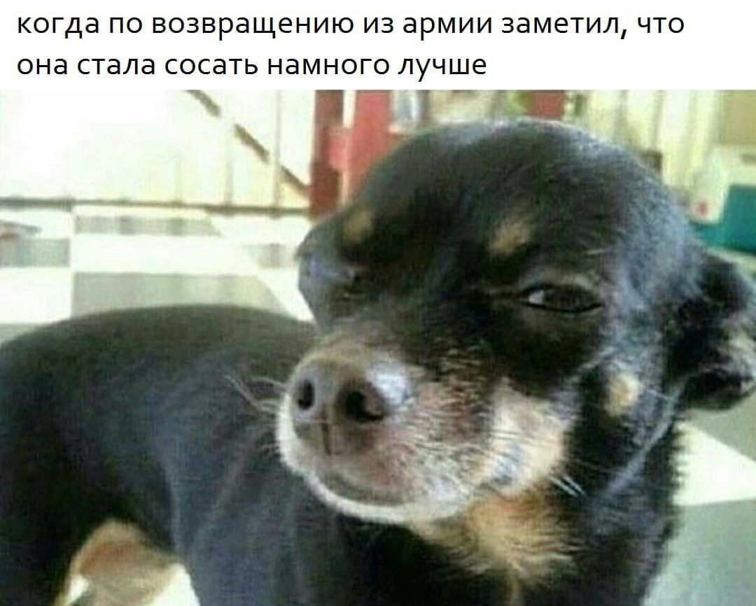 когда по возвращению из армии заметил что она стала ссать намного лучше