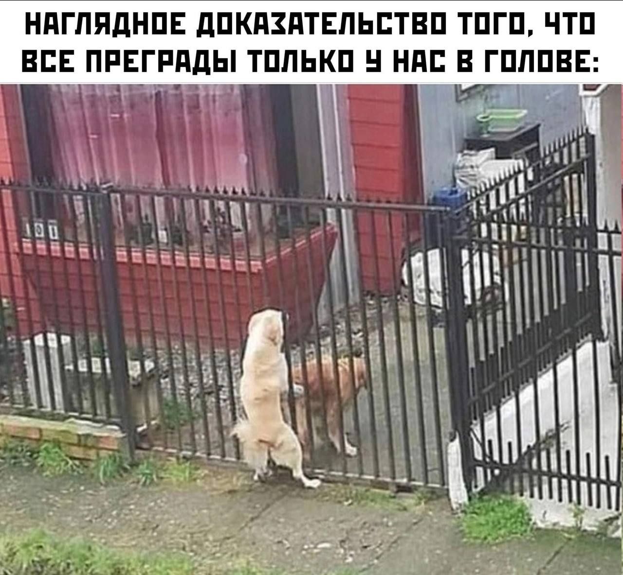 НдГЛПдНПЕ дПКПЗПТЕПЬЕТЕП ТПГП ЧТП ВСЕ ПРЕГРПдЫ ТППЬКП НПП ГШШ