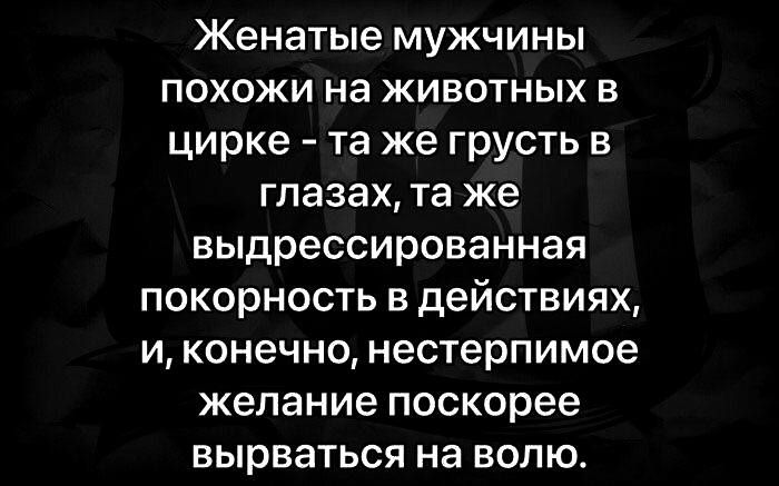 Женатые мужчины похожи на животных в цирке та же грусть в глазах та же выдрессированная покорность в действиях и конечно нестерпимое желание поскорее вырваться на волю