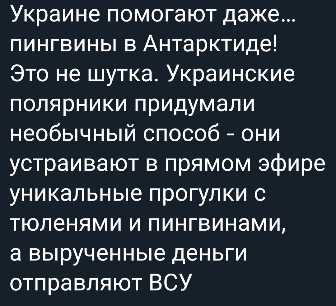 Украине помогают даже пингвины в Антарктиде Это не шутка Украинские полярники придумали необычный способ они устраивают в прямом эфире уникальные прогулки с тюленями и пингвинами а вырученные деньги отправляют ВСУ