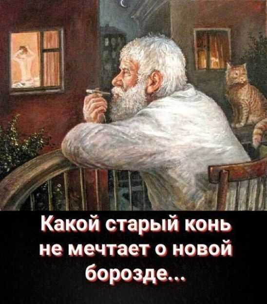 Какой старый конь не мечтает О НОВОЙ борозде