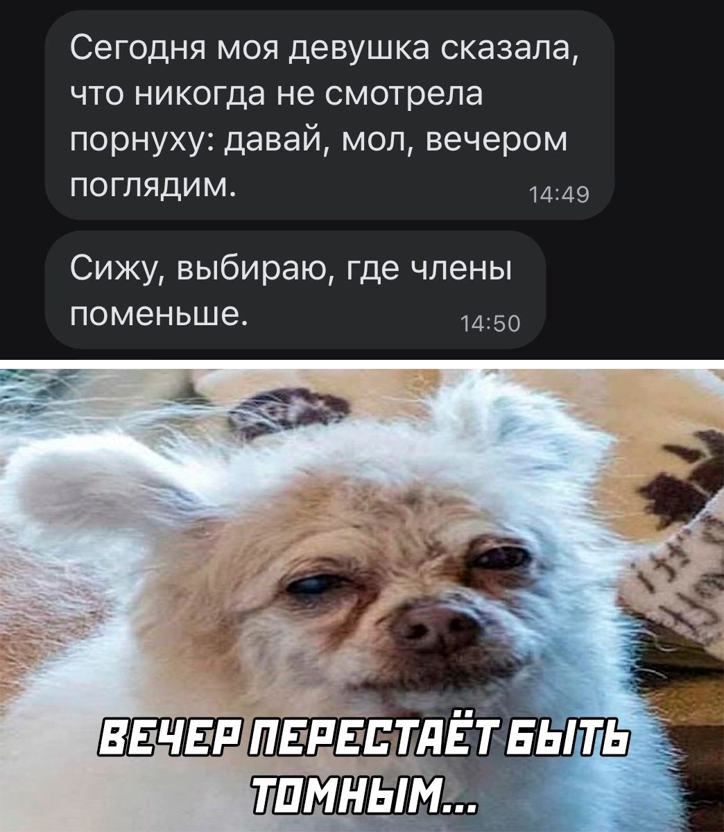 Сегодня моя девушка сказала что никогда не смотрела порнуху давай мол вечером поглядим Сижу выбираю где члены поменьше 50
