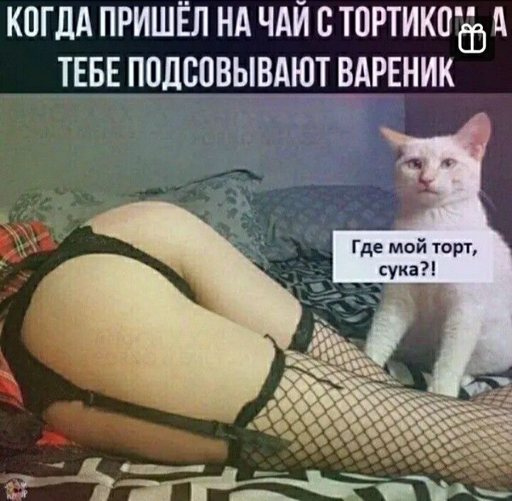 КОГДА ПРИШЁЛ НА ЧАЙ С ТОРТИКПЬЦ ТЕБЕ ППЛСОВЫВАЮТ ВАРЕНИК Где мой юг сука п
