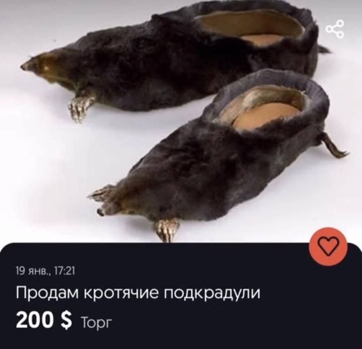 гл Продам кротячие подкрадупи 200 Торг