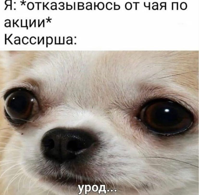 Я отказываюсь от чая по акции Кассирша