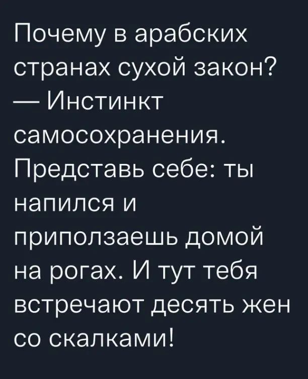 Почему в арабских странах сухой закон Инстинкт самосохранения Представь себе ты напился и приползаешь домой на рогах И тут тебя встречают десять жен со скалками