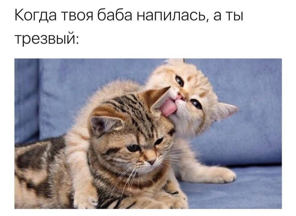 Когда твоя баба напилась а ты трезвый