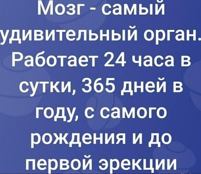 Мозг самый удивительный орган Работает 24 часа в сутки 365 дней в году с самого рождения и до первой эрекции