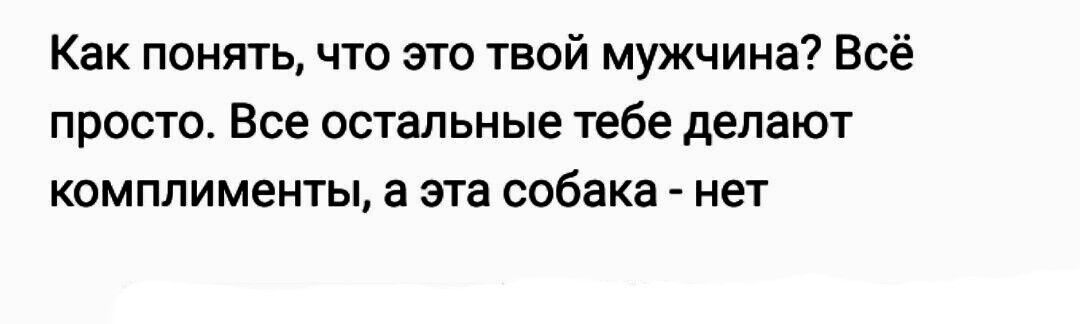 Как понять что это твой мужчина Всё просто Все остальные тебе делают комплименты а эта собака нет