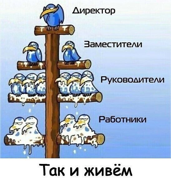 Так и живём