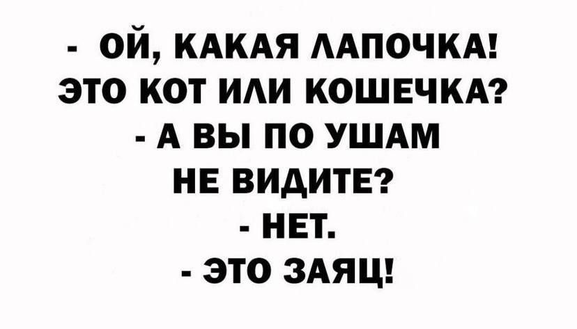 ОЙ КАКАЯ ААПОЧКА ЭТО КОТ ИАИ КОШЕЧКА А ВЫ ПО УШАМ НЕ ВИАИТЕ НЕТ ЭТО ЗАЯЦ